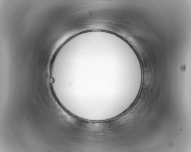 X0000093391286200711011303