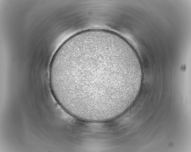 X0000093391287200711011303