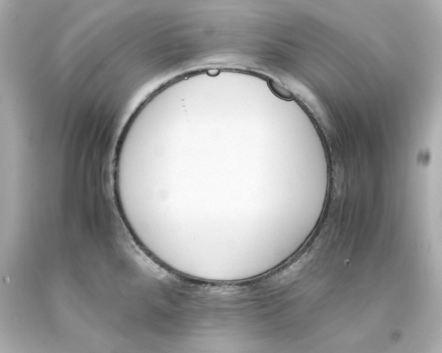 X0000093391288200711011303