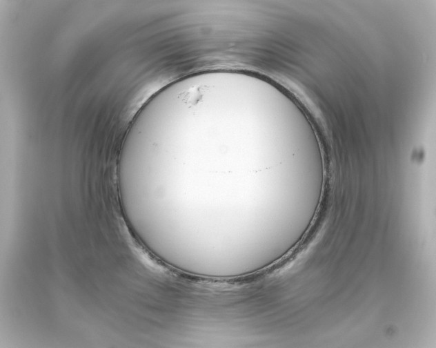 X0000093391289200711011303