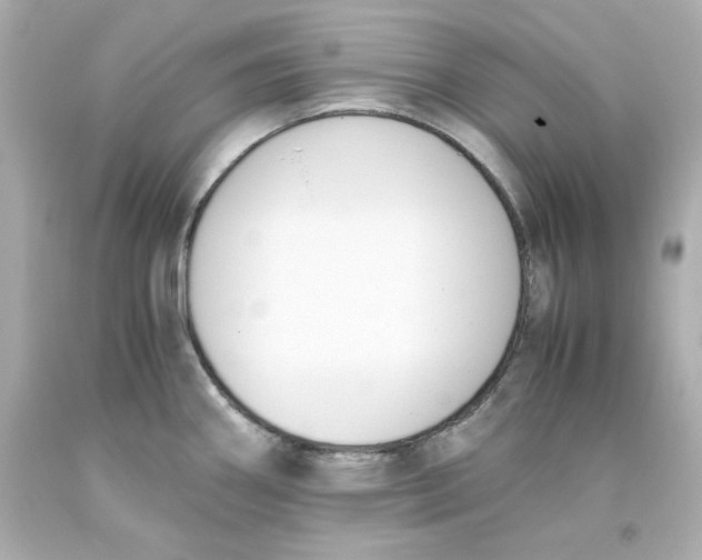 X0000093391290200711011303