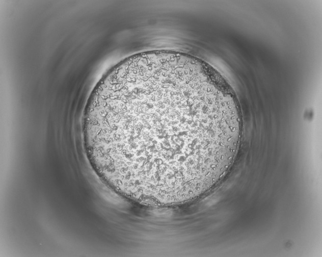 X0000093391291200711011303