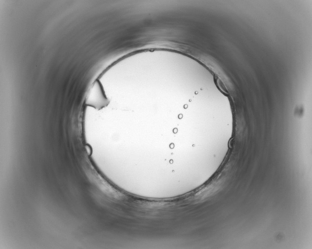 X0000093391292200711011303