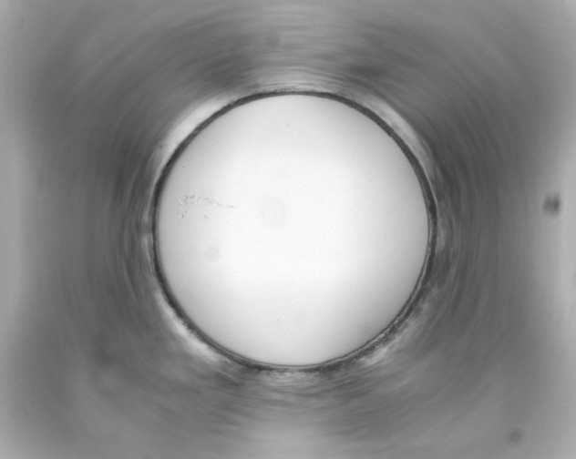 X0000093391293200711011303