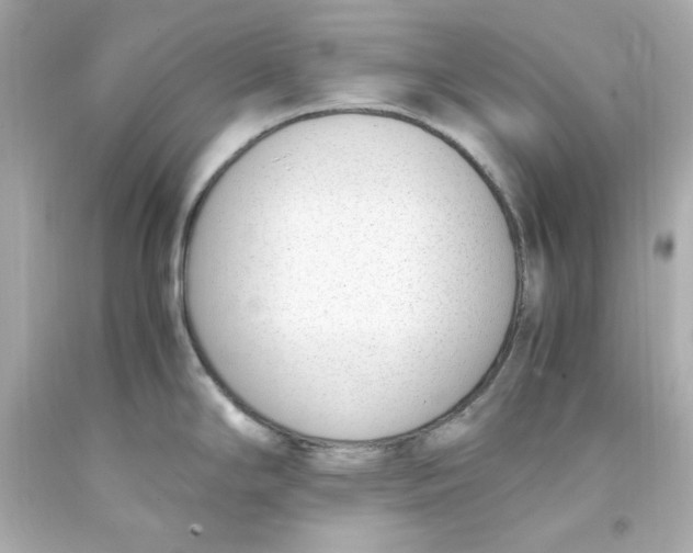 X0000093391294200711011303