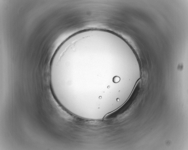 X0000093391295200711011303