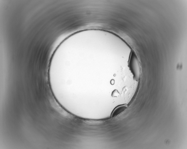 X0000093391296200711011302