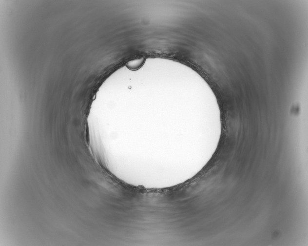 X0000093391297200711011302