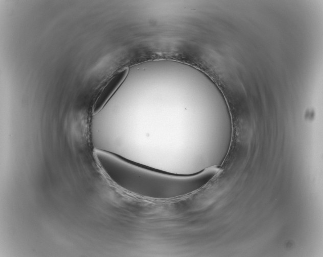 X0000093391298200711011302