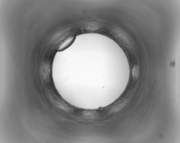 X0000093391299200711011302