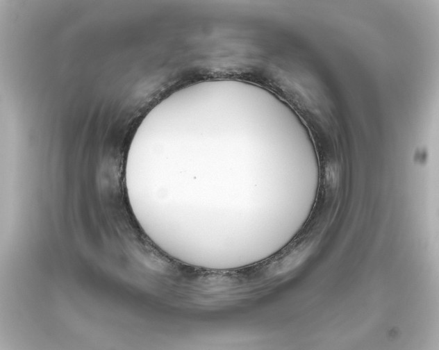 X0000093391300200711011302