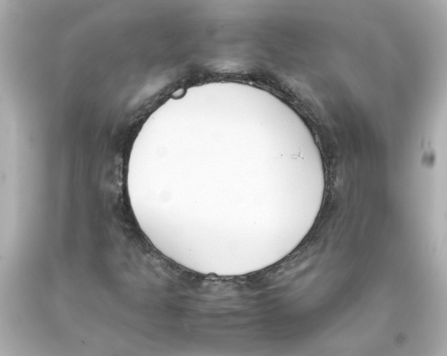 X0000093391301200711011302