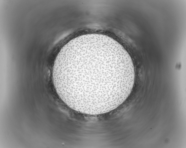 X0000093391302200711011302