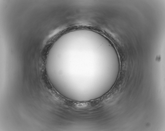 X0000093391303200711011302