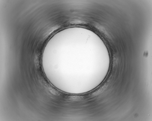 X0000093391305200711011302