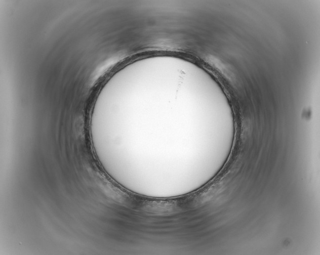 X0000093391307200711011302