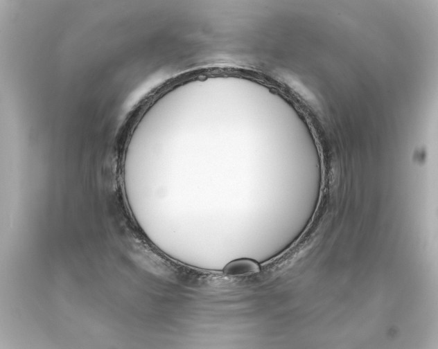 X0000093391310200711011302