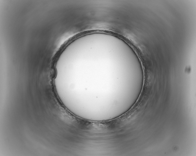 X0000093391312200711011302