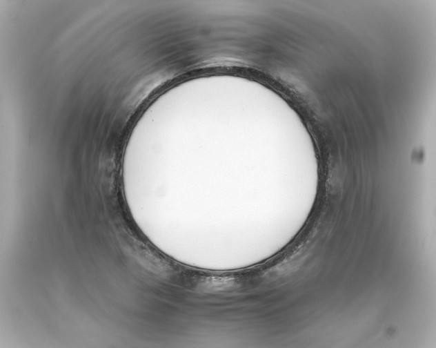 X0000093391313200711011302