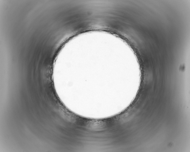 X0000093391314200711011302