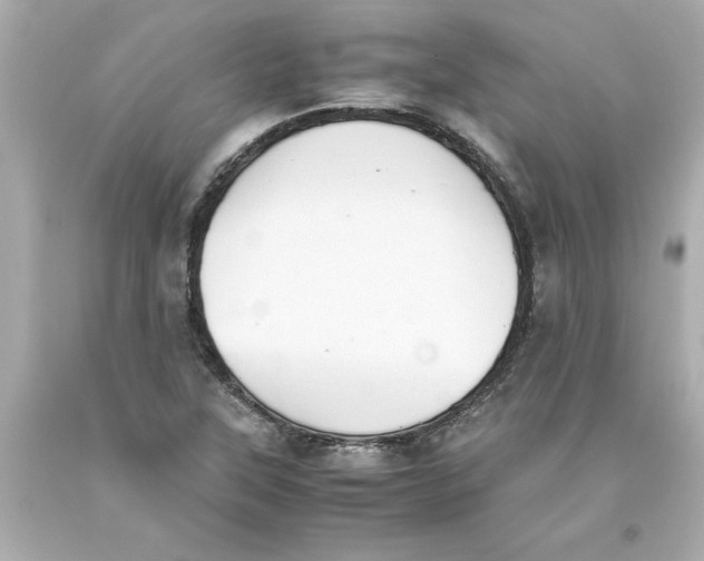 X0000093391315200711011302