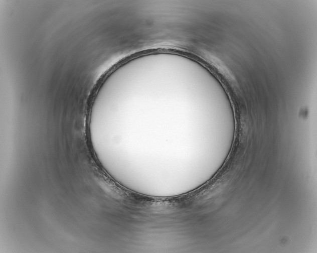 X0000093391316200711011302