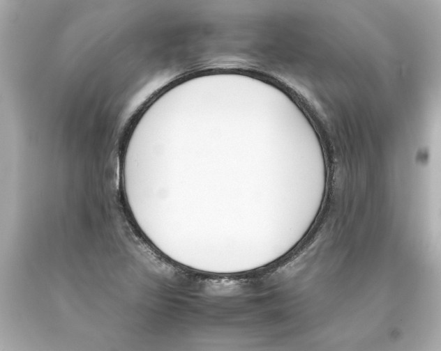 X0000093391317200711011302