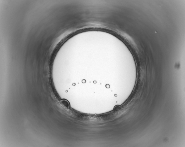 X0000093391318200711011302