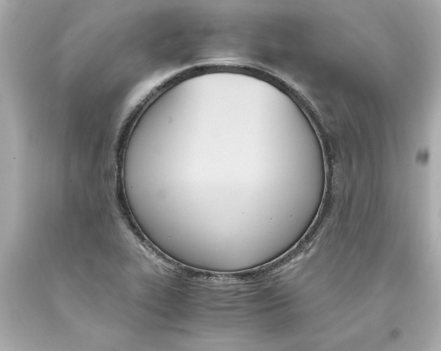 X0000093391319200711011302