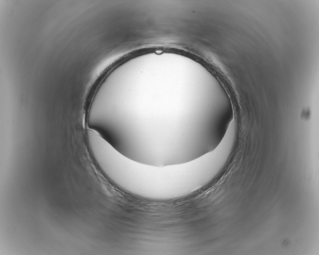 X0000093391320200711011302