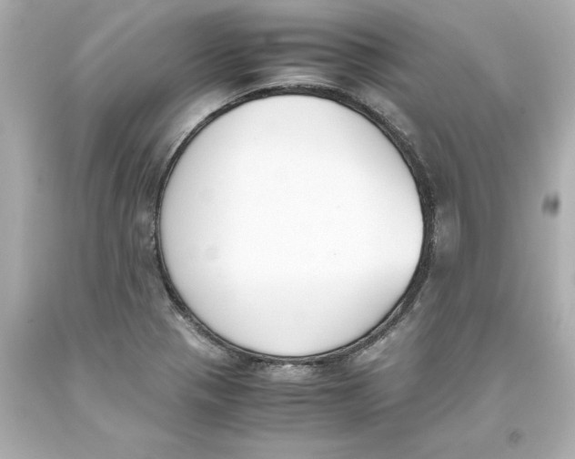 X0000093391321200711011302