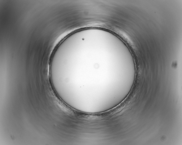 X0000093391324200711011302