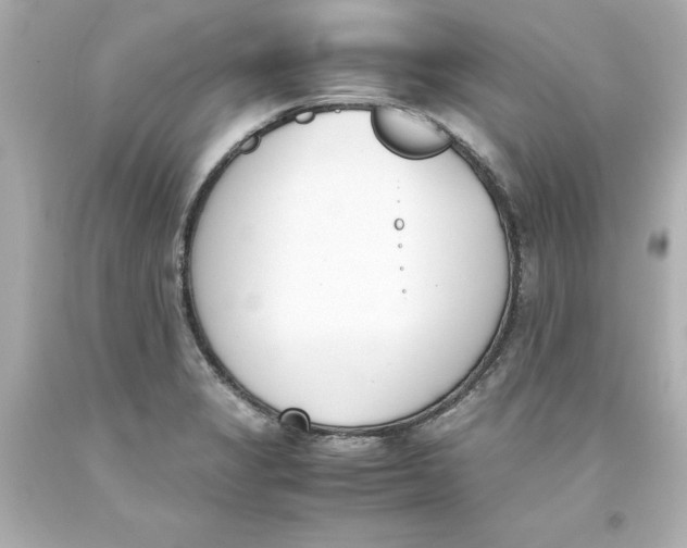 X0000093391325200711011302