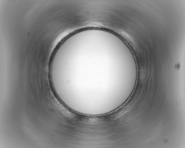 X0000093391326200711011302