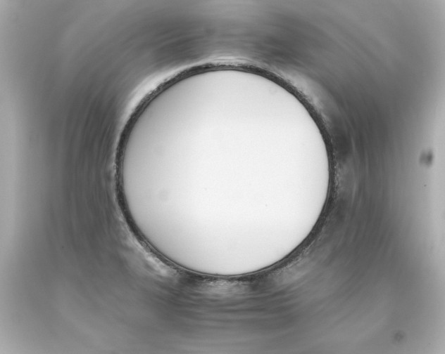 X0000093391327200711011302