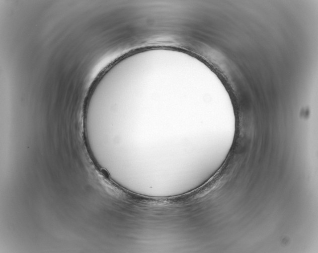 X0000093391328200711011302