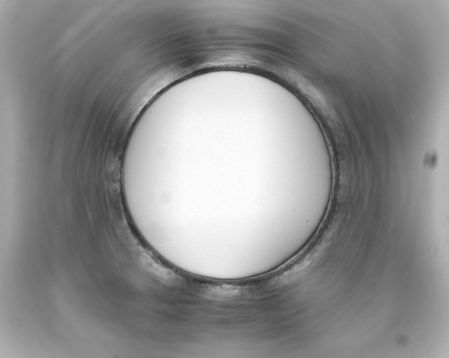 X0000093391329200711011302