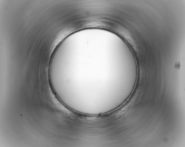 X0000093391330200711011302