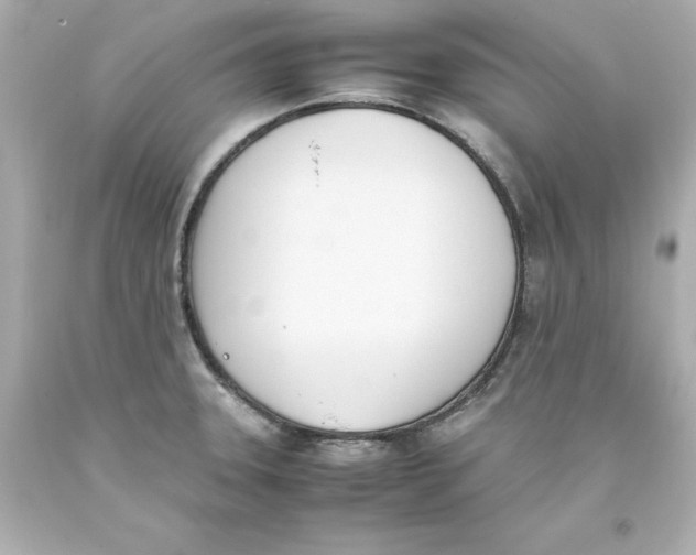 X0000093391331200711011302