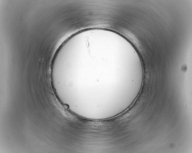 X0000093391332200711011302