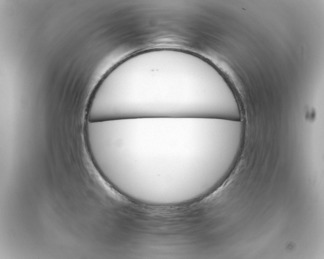 X0000093391333200711011302