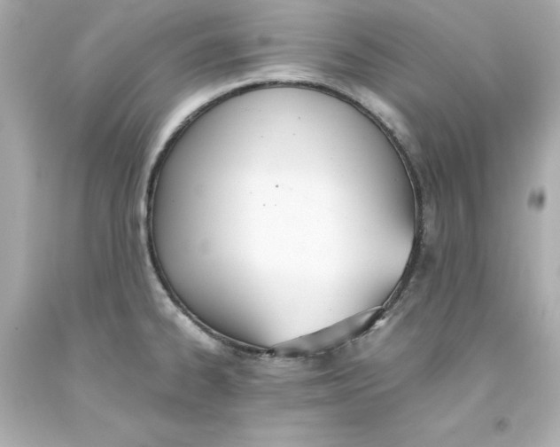 X0000093391334200711011302