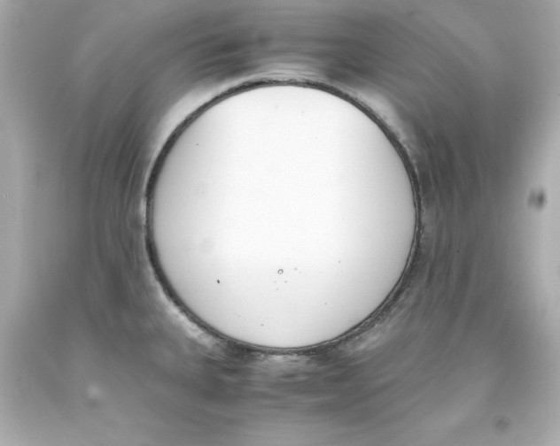 X0000093391335200711011302