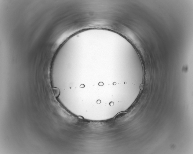 X0000093391336200711011302