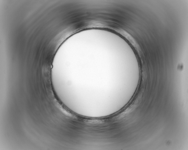 X0000093391337200711011302