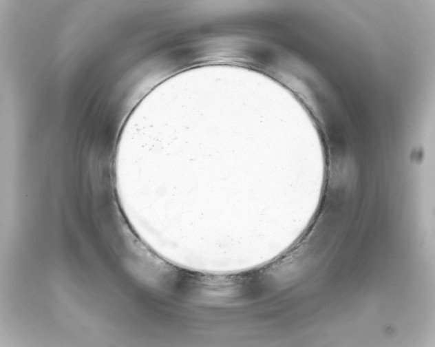 X0000093391338200711011302