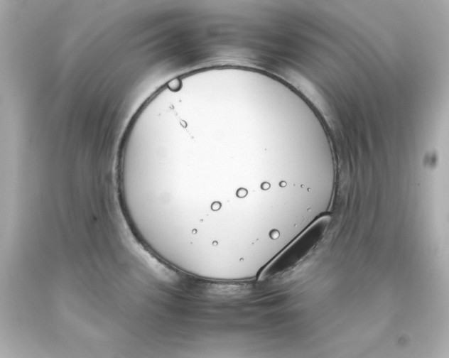 X0000093391339200711011302