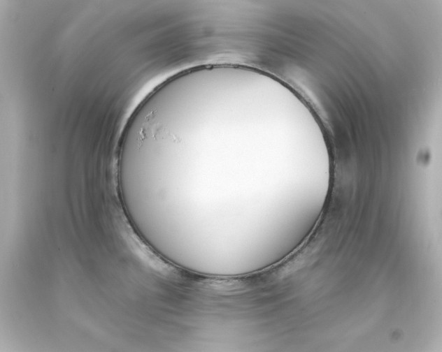 X0000093391340200711011302