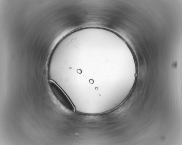 X0000093391341200711011302