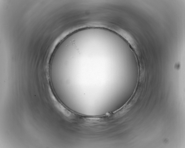 X0000093391342200711011302